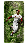 Curt Flood "The Free Agent" D-1