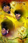 The Supremes "Reflections" D-1