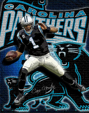 Cam Newton "Off The Wall" D-2b