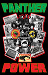 Black Panther Party "Black Power" D-2