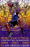 Shaquille O'Neal "Champion"  D-5  (Print)