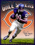 Gale Sayers "Tribute"  D-1