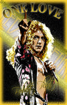 Robert Plant "One Love" D-1