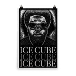 Ice Cube "Vision" D-10